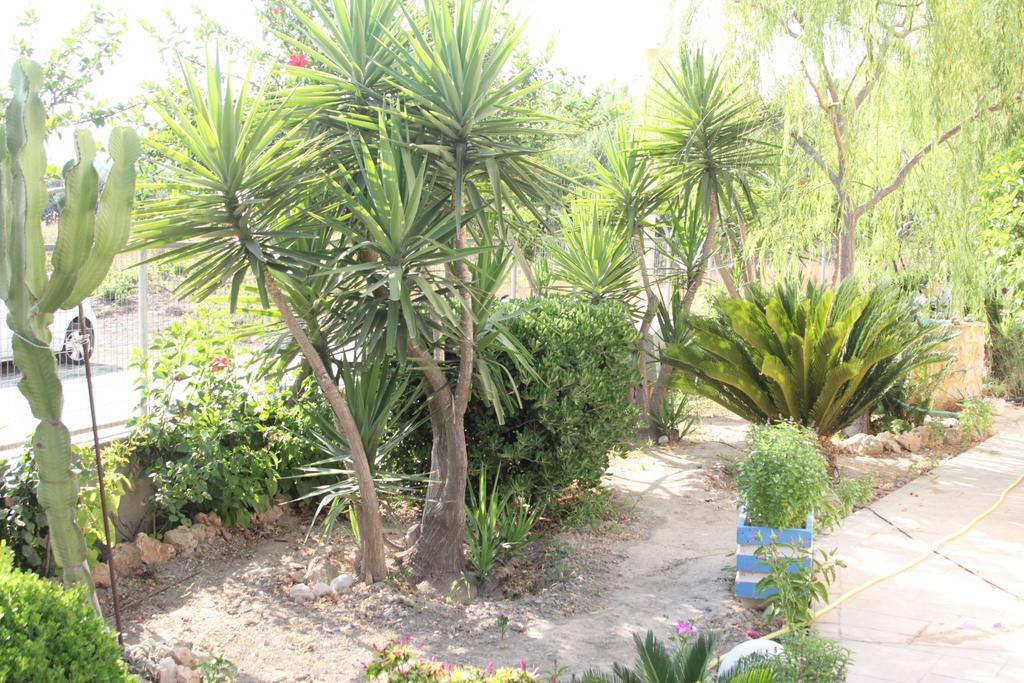 Paul'S Garden Studios Haraki Exterior photo