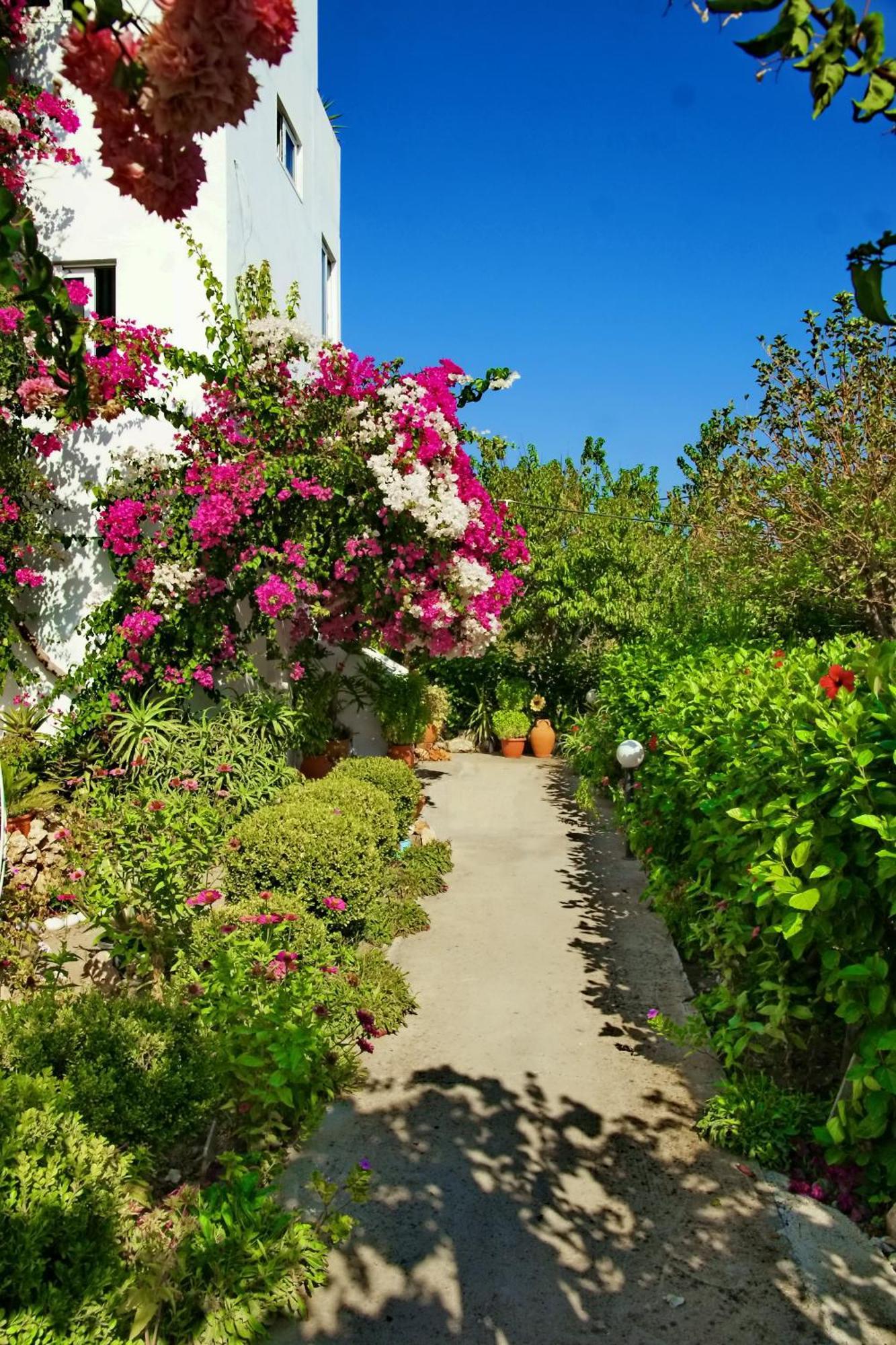 Paul'S Garden Studios Haraki Exterior photo